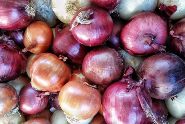 Mercato Agricolo della Cuccagna sabato 4 maggio | Milano Food City