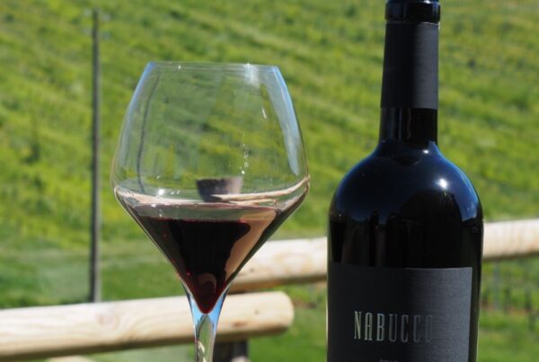 Monte delle Vigne e il Nabucco, il vino ispirato al Maestro Verdi