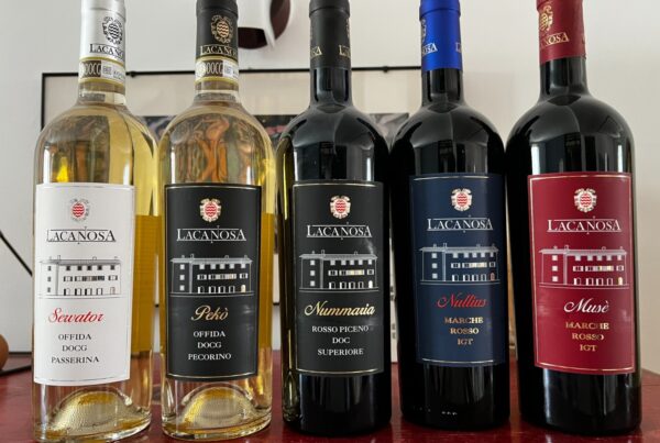 LA CANOSA, BIANCHI E ROSSI: QUANDO IL VINO È MARCHIGIANO