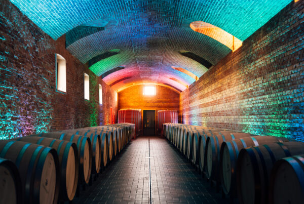 La cantina Predimagno