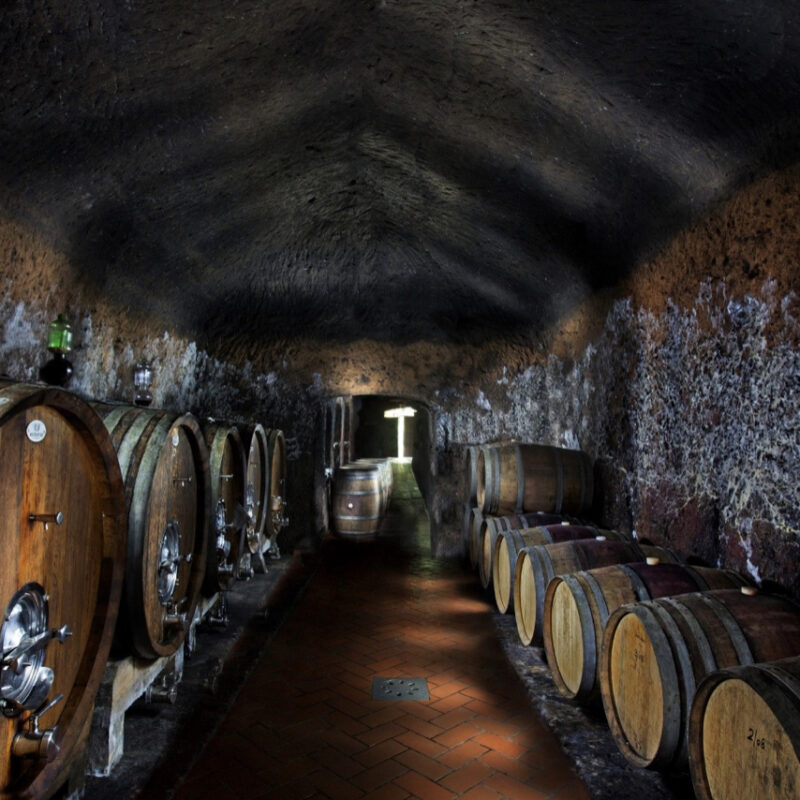 Sassotondo e il loro vino simbolo San Lorenzo, cru di Ciliegiolo