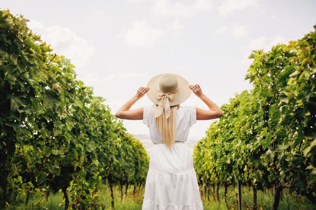 Per celebrare l’autunno: Cantine Aperte in vendemmia