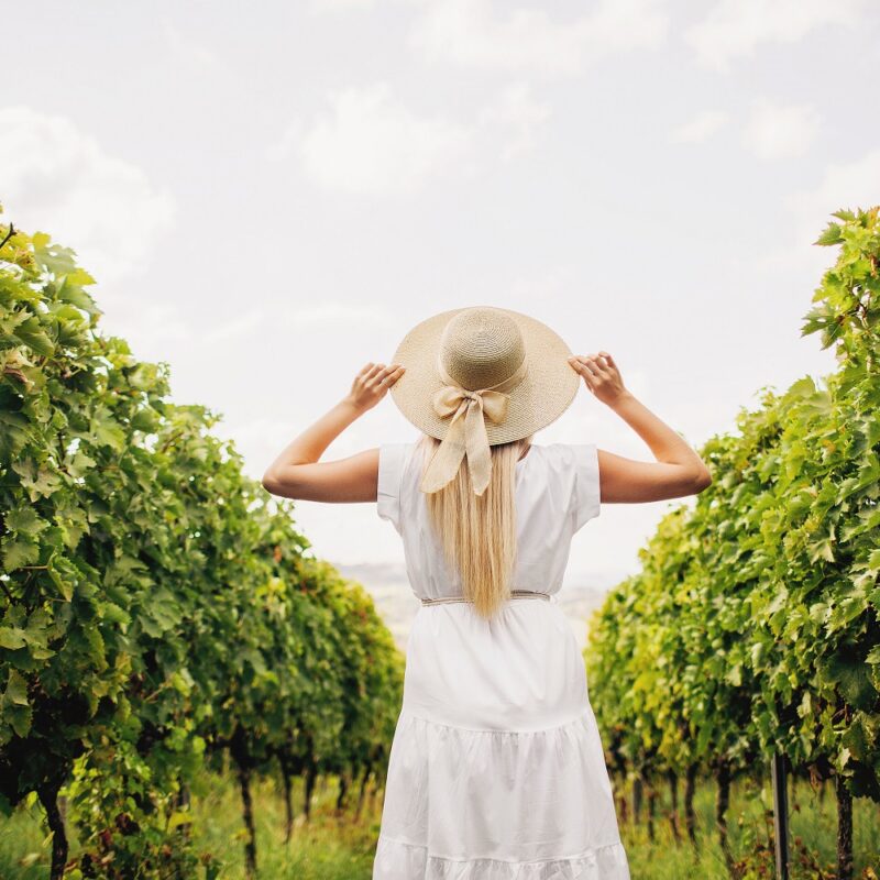 Per celebrare l’autunno: Cantine Aperte in vendemmia