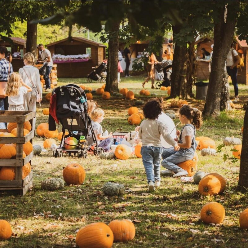 Profumi d’autunno: al Villaggio delle Zucche