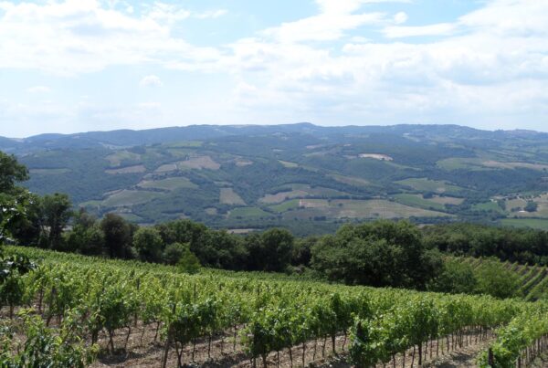 Un Viaggio tra i Vini della Val d'Orcia: Serata di Degustazione ONAV Milano