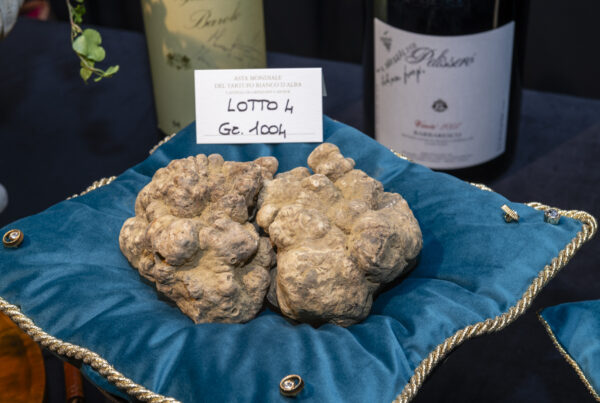 Grinzane Cavour ospita la XXV Asta Mondiale del Tartufo Bianco d’Alba®