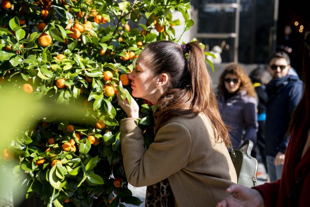 A Villa Necchi Campiglio la rassegna di piante e frutta con il FAI: Agrumi 2025