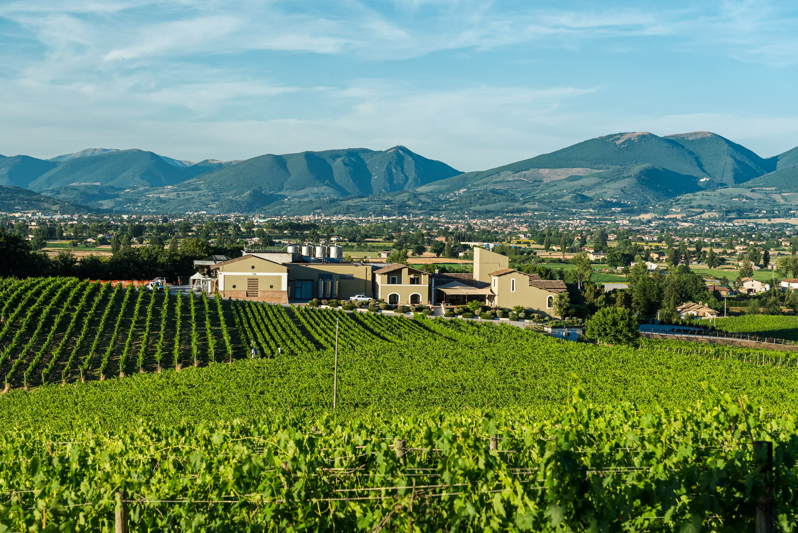 AC Galaxy Umbria, by Arnaldo Caprai, e la valorizzazione dei diversi terroir