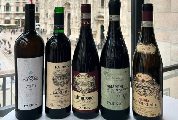Farina Wines, vini complessi, longevi, ma freschi e di piacevole beva