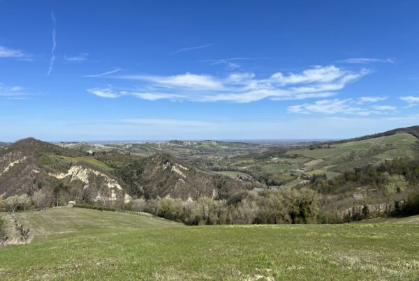 I Grandi Cru di Cantine Maurizio Costa