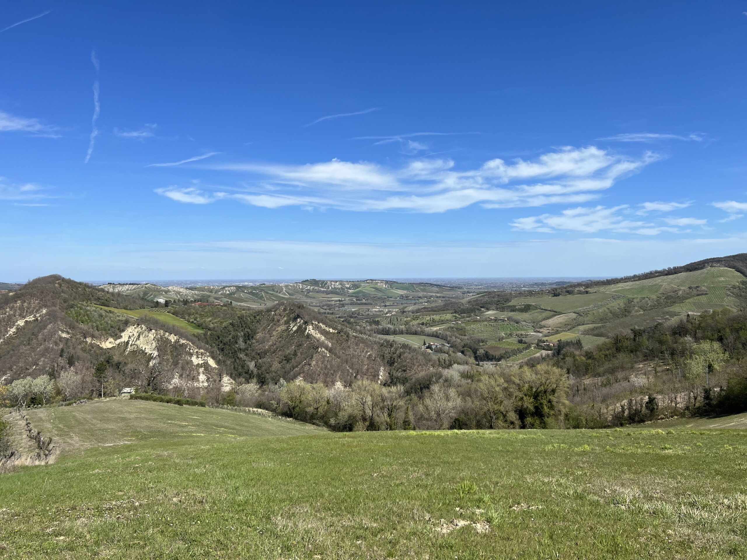 I Grandi Cru di Cantine Maurizio Costa
