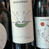 Amaracmand storia di vini in Romagna: Un Viaggio