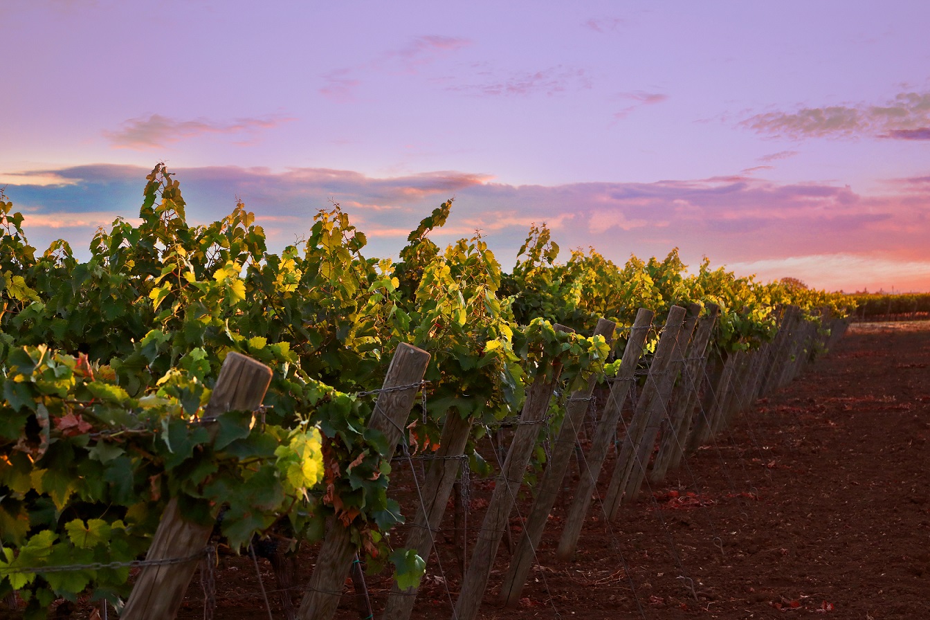 Paolo Leo e il suo Mormora Metodo Classico Pas Dosé