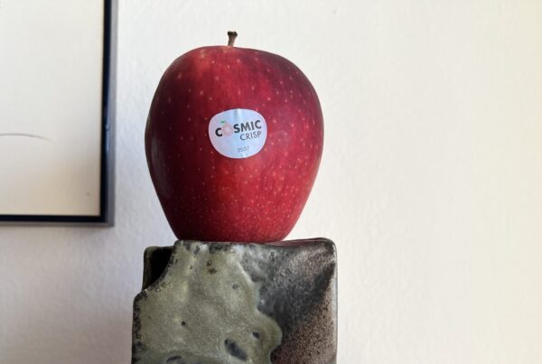Cosmic Crisp expereience: quando una mela