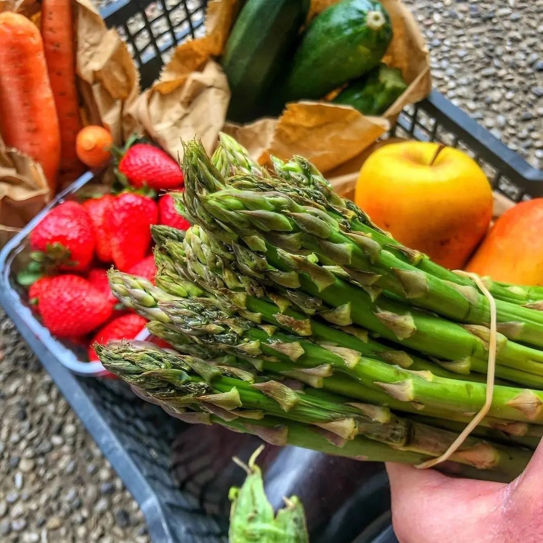 Il Buono in Tavola per affrontare l’estate