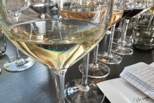 Sant’Anna dei Bricchetti: dalla Barbera Metodo Classico al Moscato Secco