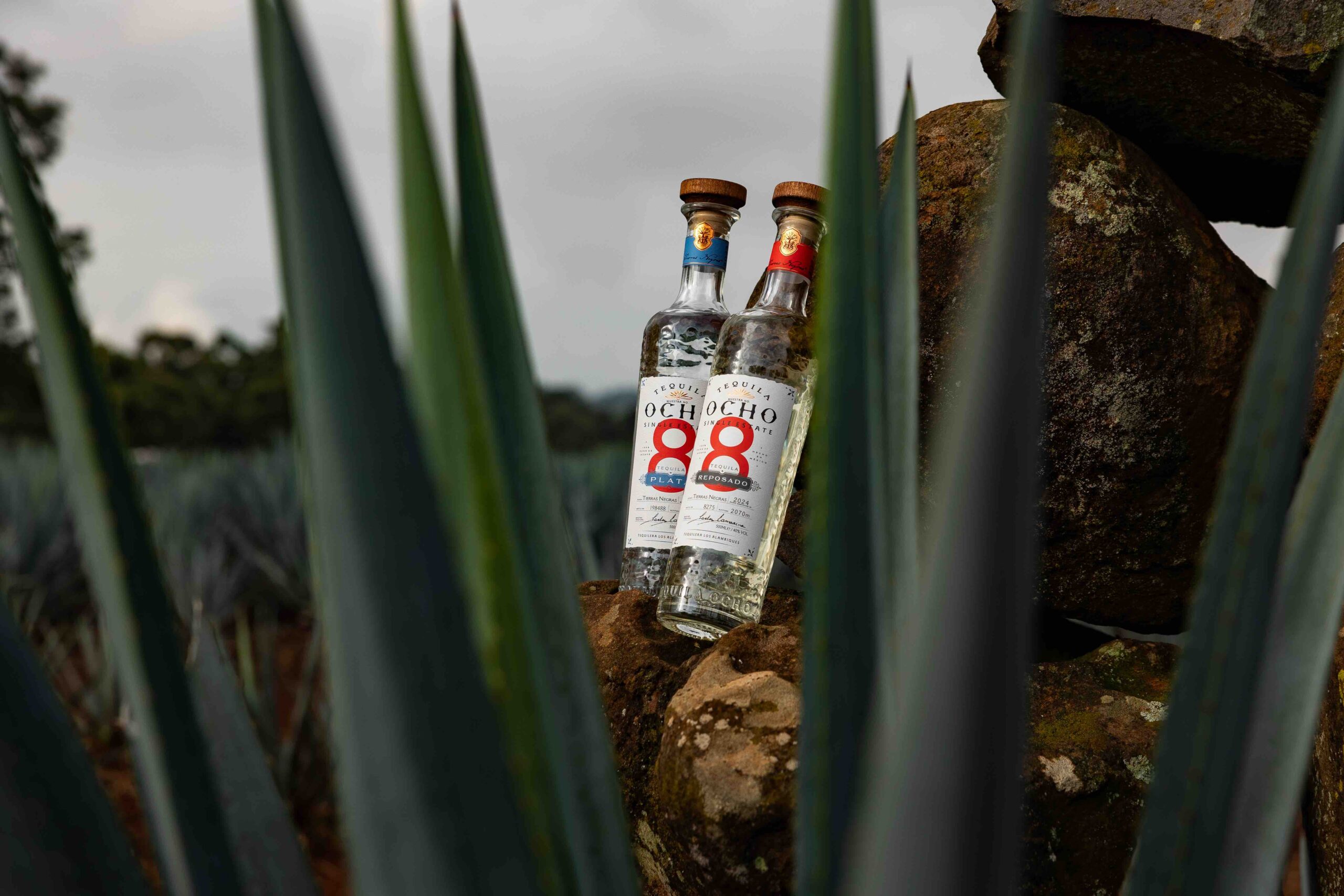 Komos e Ocho protagonisti del Tequila Day con Compagnia dei Caraibi
