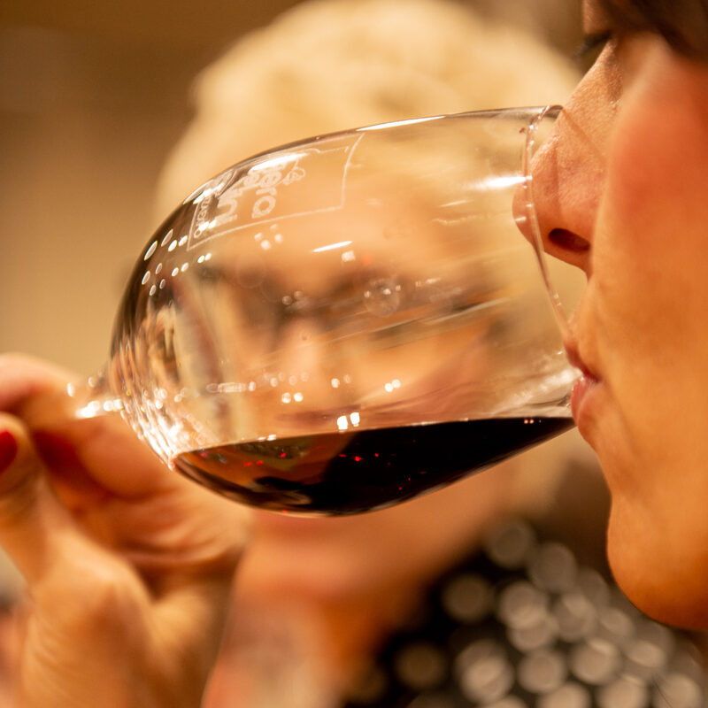 Enoturismo e mixology: la Fiera dei Vini 2025 si rinnova a Piacenza