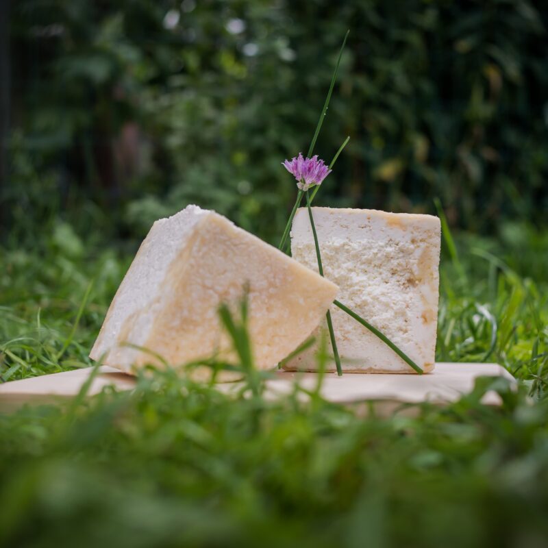 Appuntamento gourmand. Dal 6 al 14 settembre le Giornate del Graukäse in Valle Aurina