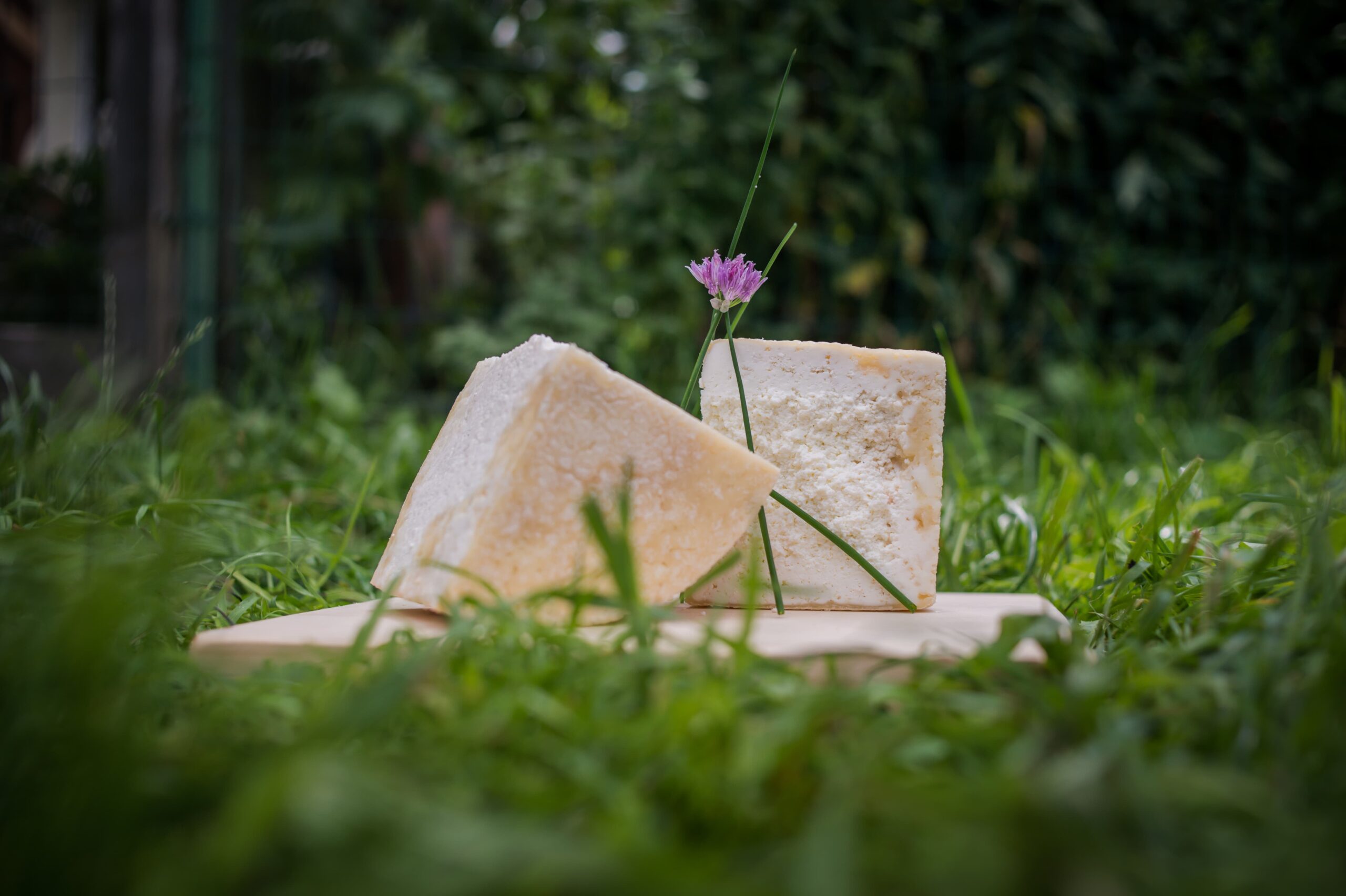 Appuntamento gourmand. Dal 6 al 14 settembre le Giornate del Graukäse in Valle Aurina