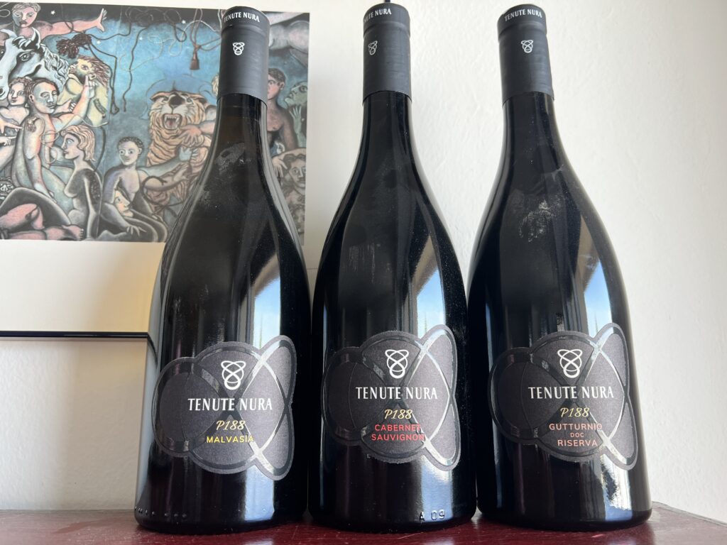 Tenute Nura: i vini sostenibili dei Colli Piacentini tra Gutturnio, Cabernet e Malvas