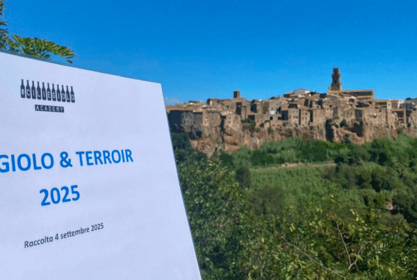 Il Ciliegiolo tra scienza e territorio: parte il progetto della nuova Academy