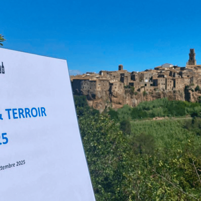 Il Ciliegiolo tra scienza e territorio: parte il progetto della nuova Academy