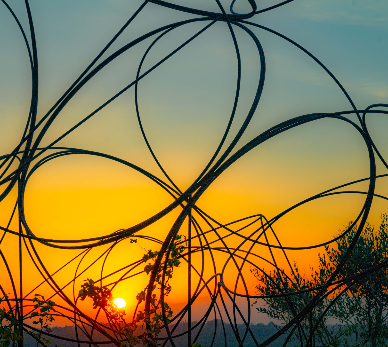 Passeggiata tra arte, vino e paesaggio: dal Vigne Museum all’Abbazia di Rosazzo