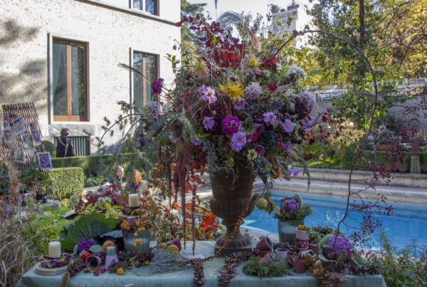 L’autunno a Villa Necchi si tinge di sapori, piante e musica con il FAI