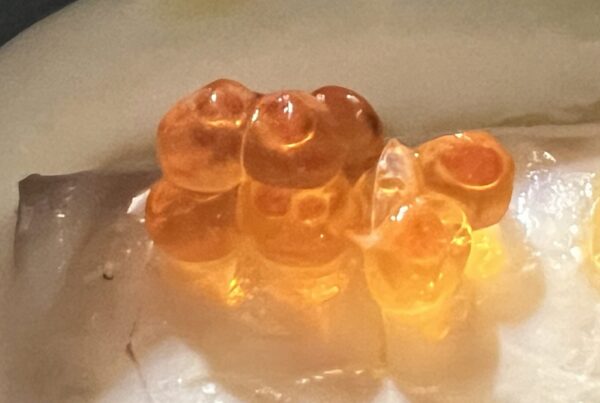 L’Alchimia a Milano: cucina creativa tra tradizione, contaminazioni e tecniche d’autore