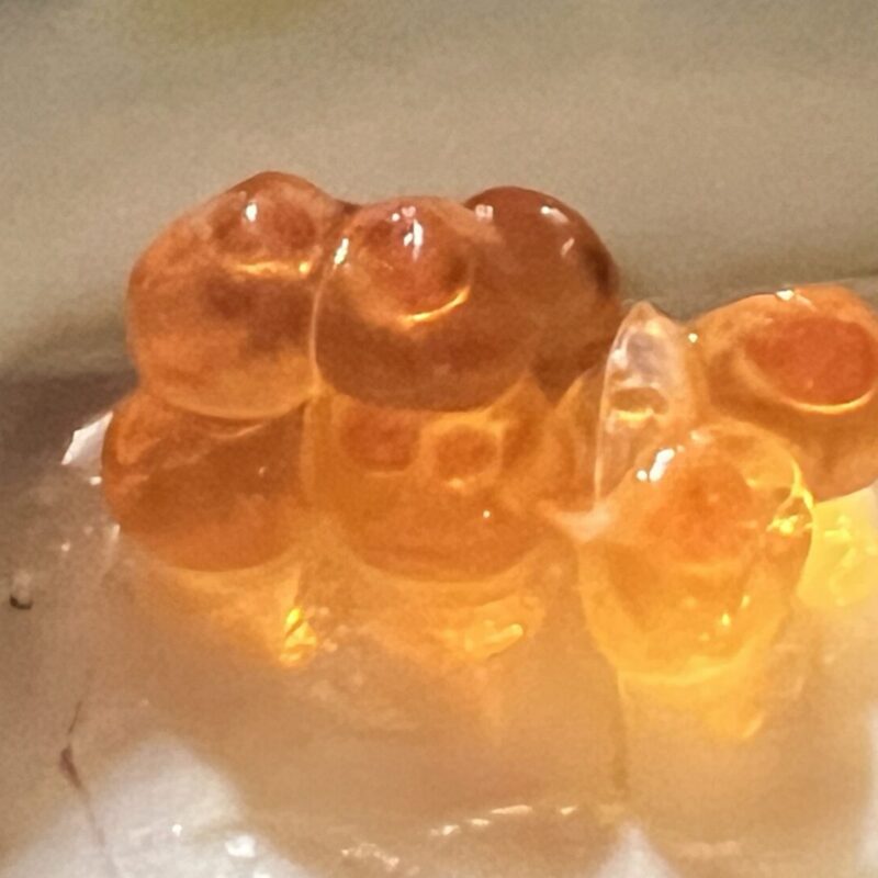 L’Alchimia a Milano: cucina creativa tra tradizione, contaminazioni e tecniche d’autore