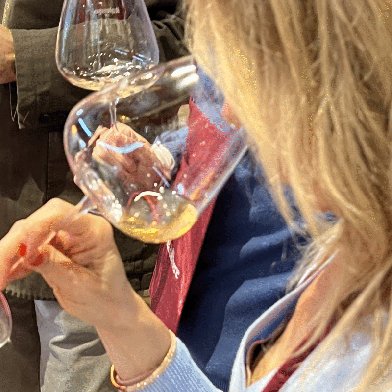WOW! Milano 2025: i migliori vini degustati il 3 novembre all’Enoluogo di Civiltà del bere
