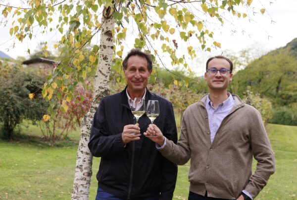 Proposta Vini: viaggio tra rarità, vitigni salvati e vini simbolo