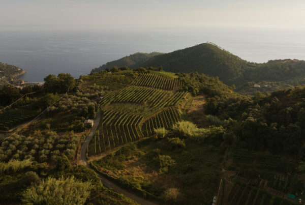Zero tolleranza per il silenzio ovvero la versione secca del Ruzzese