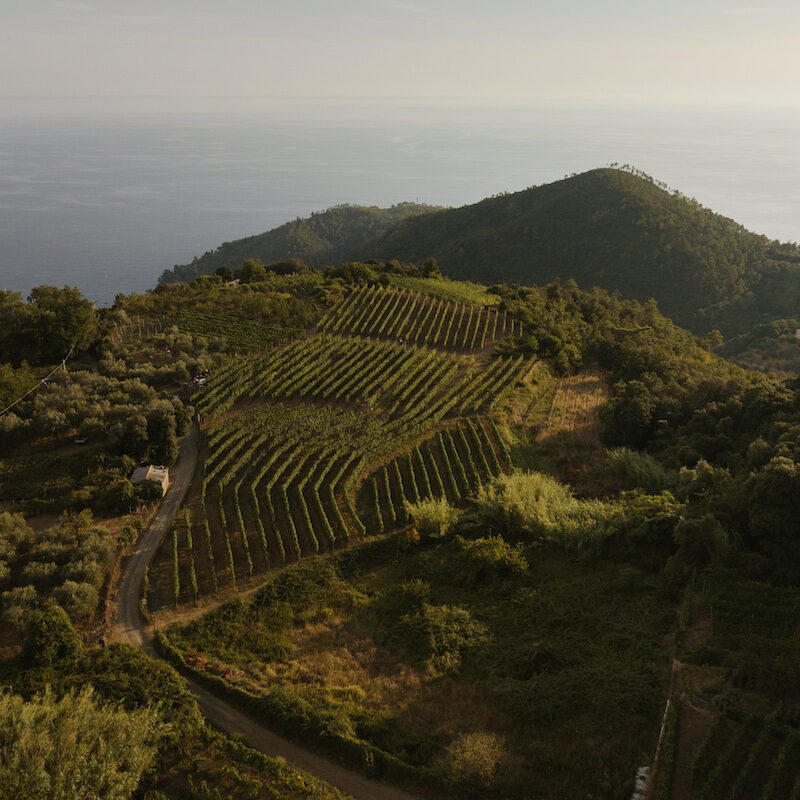 Zero tolleranza per il silenzio ovvero la versione secca del Ruzzese