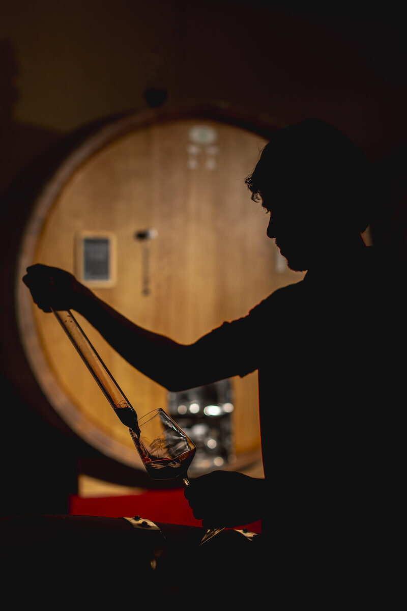 Diversamente Autoctoni: alla scoperta dei vini di Artimino
