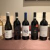 Diversamente Autoctoni: alla scoperta dei vini di Artimino