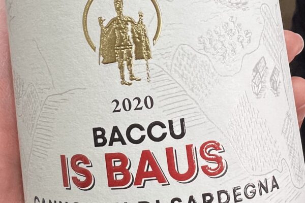 Baccu e Cinquesse di Antichi Poderi Jerzu: vini tra suolo, altitudine e storia