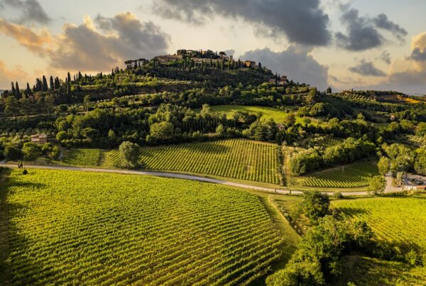 Il Vino Nobile di Montepulciano presenta le Pievi ovvero le sue UGA