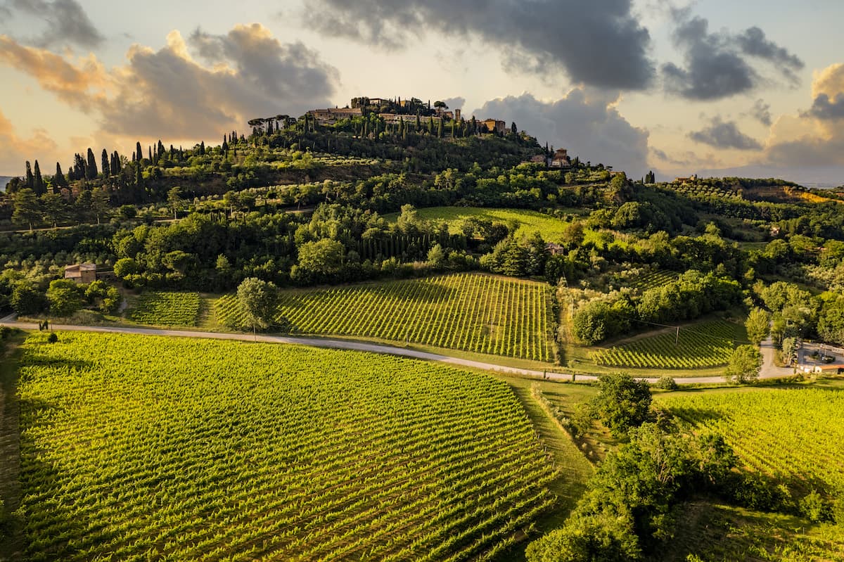 Il Vino Nobile di Montepulciano presenta le Pievi ovvero le sue UGA