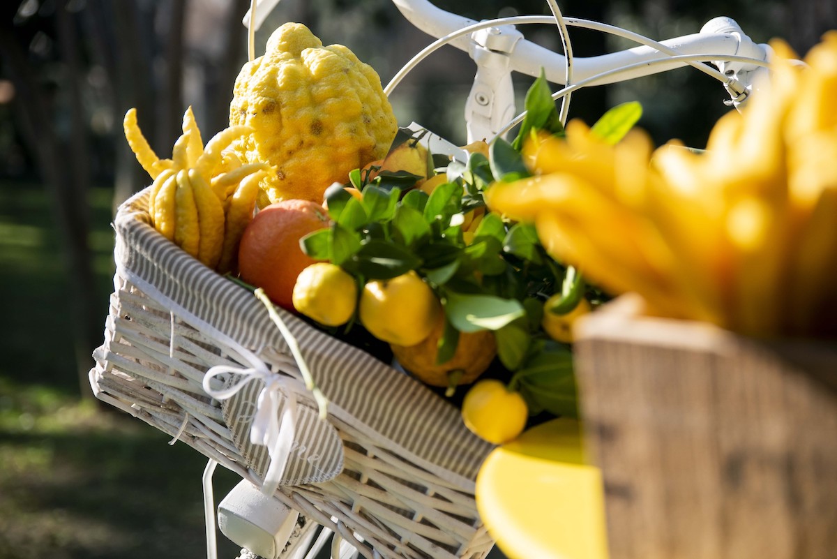 Villa Necchi ospita il mondo degli agrumi con il FAI