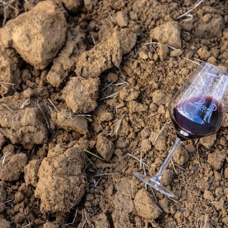 debutta ufficialmente il Morellino di Scansano Superiore