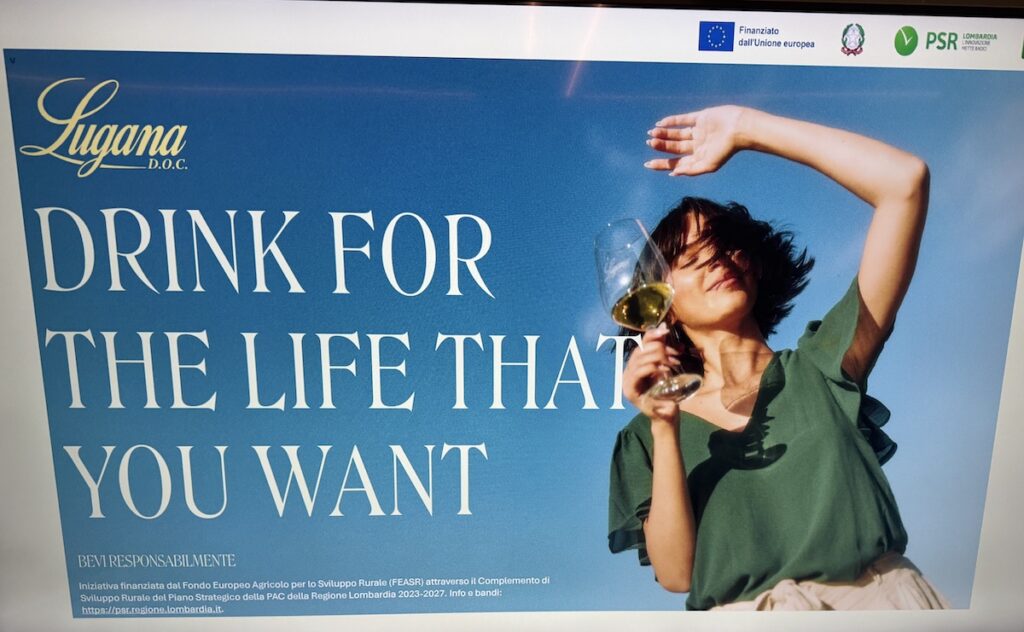 Lugana DOC: freschezza, valore e identità