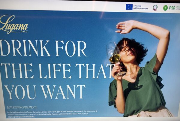 Lugana DOC: freschezza, valore e identità