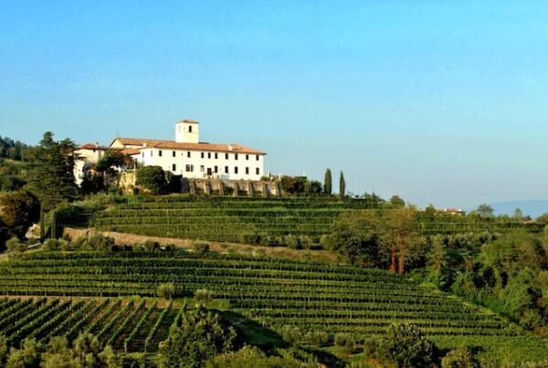 All’Abbazia di Rosazzo il ritorno di Anna Lina Molteni: un viaggio tra storia e inquietudini contemporanee