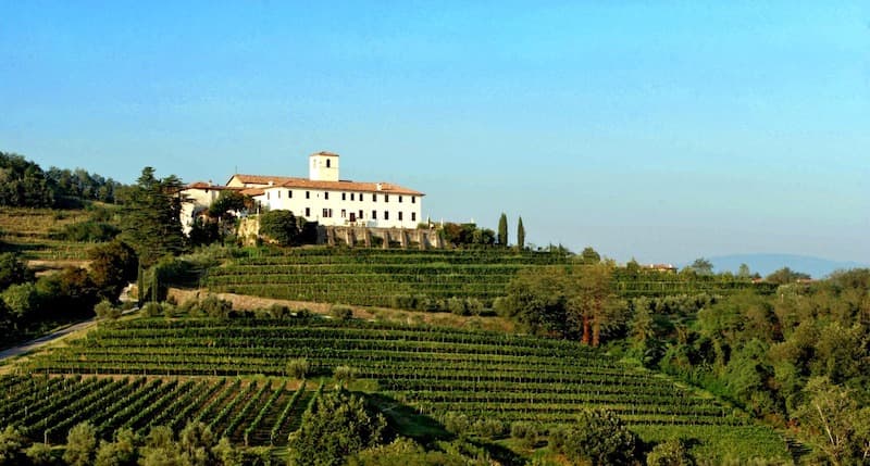 All’Abbazia di Rosazzo il ritorno di Anna Lina Molteni: un viaggio tra storia e inquietudini contemporanee