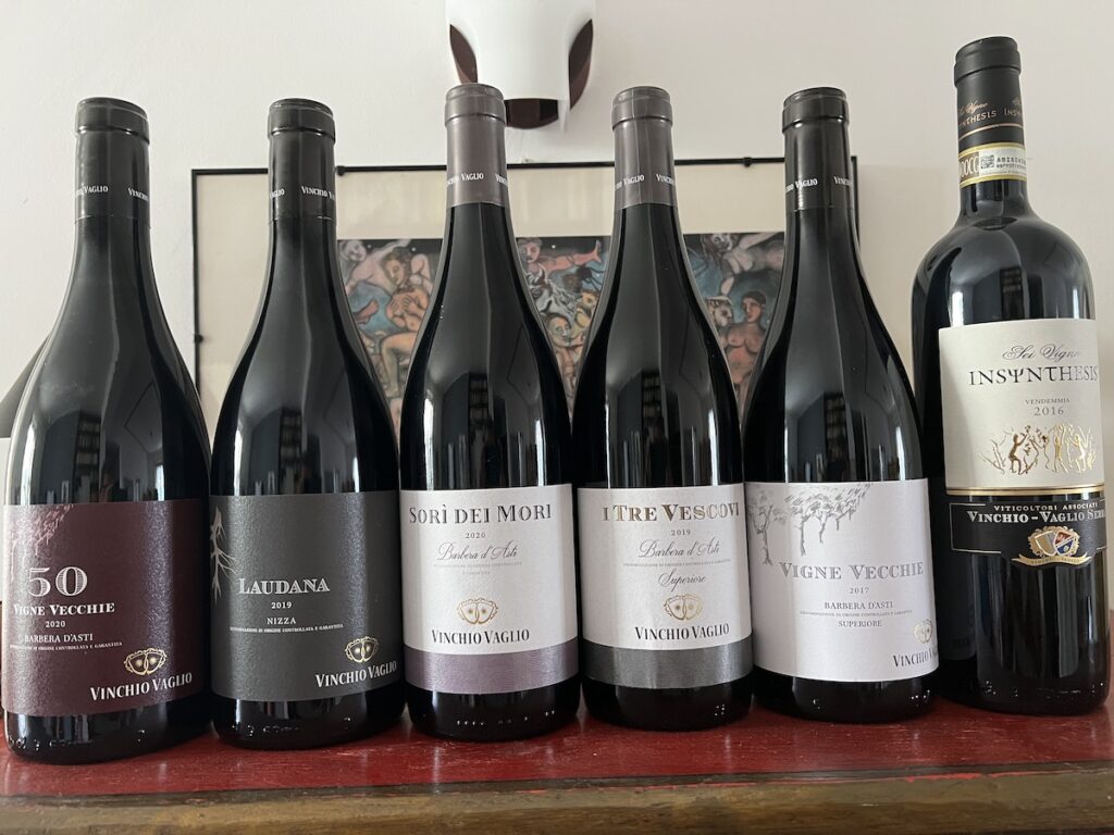 6 interpretazioni di Barbera firmate Vinchio-Vaglio Serra