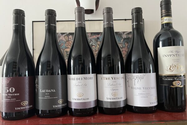 6 interpretazioni di Barbera firmate Vinchio-Vaglio Serra