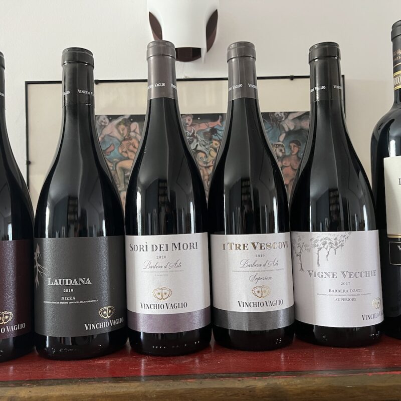 6 interpretazioni di Barbera firmate Vinchio-Vaglio Serra
