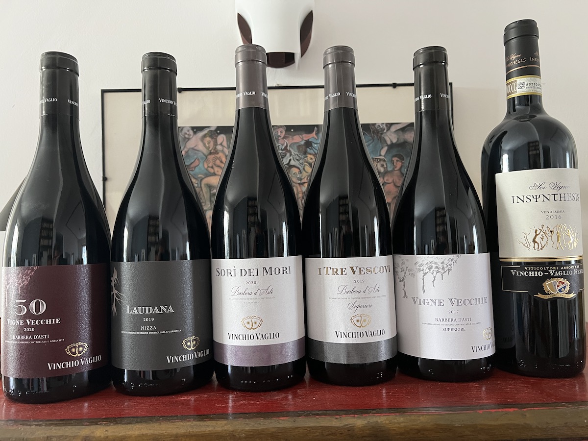 6 interpretazioni di Barbera firmate Vinchio-Vaglio Serra